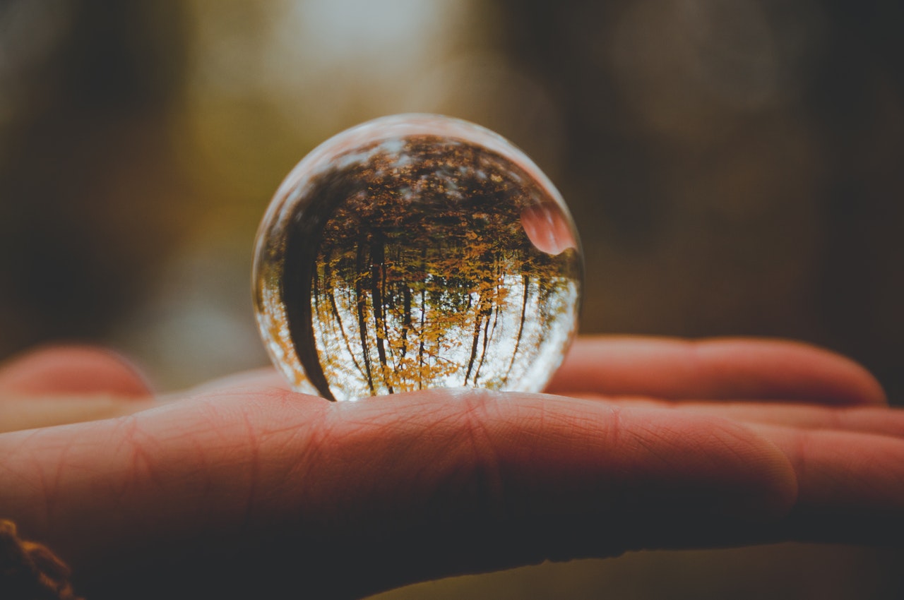 Why Is Environmental Protection So Important Shout Learning