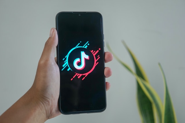 Environmental awareness on TikTok