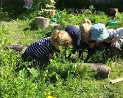 Students taking notes and examining plants together during an outdoor environmental science activity in a green school garden under bright natural daylight.
